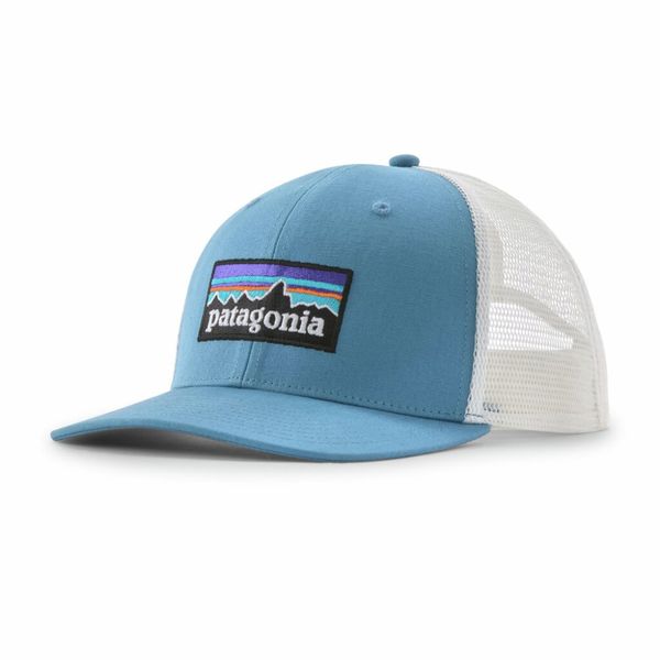 Patagonia P-6 Logo Trucker Hat shrb